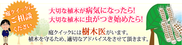 業界最速24時間でお見積もり完了