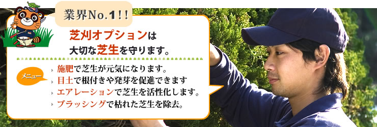 業界NO.1 芝刈オプションは大切な芝生を守ります。施肥で芝生が元気になります。目土で寝つきや発芽を促進できます。エアレーションで芝生を活性化します。ブラシングでかれた芝生を除去。