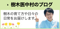 庭クイックスタッフブログです。