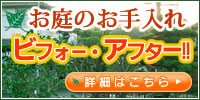 お庭のお手入れ　ビフォー・アフター　詳細はこちらです。