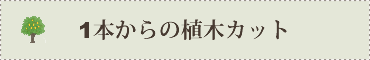 １本からの植木の剪定（カット）