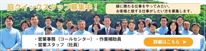 採用について 人材募集中