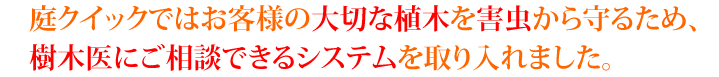 庭クイックではお客様の大切な植木を害虫からまもるため、樹木医にご相談できるシステムをつくりました。