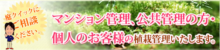 マンション管理の方、公共管理・個人のお客様の植栽管理いたします。