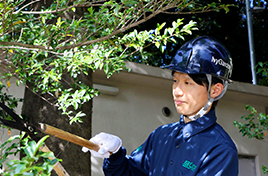 お客様の植栽管理