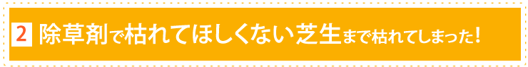 除草剤は枯れてほしくない芝生も枯らしてしまった