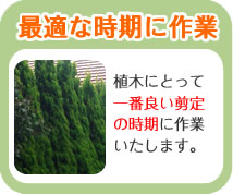 最適な時期に作業