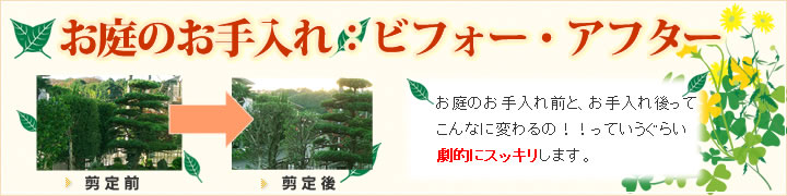 お庭の施工例　お庭のお手入れビフォー・アフター