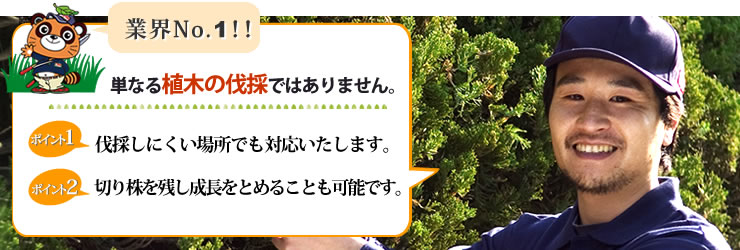 業界NO.1 単なる植木の伐採ではありません。伐採しにくい場所でも対応いたします。切り株を残し成長を止めることも可能です。