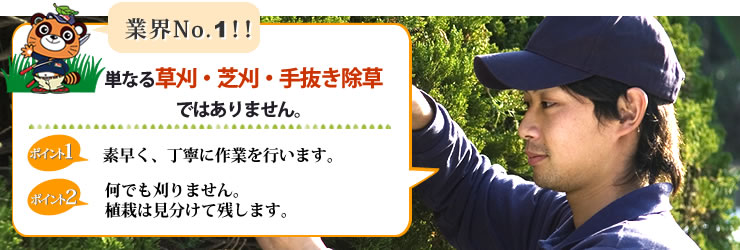 業界NO.1 単なる草刈・芝刈・手抜き除草ではありません。素早く、丁寧に作業を行います。何でも刈りません。植栽は見分けて残します。