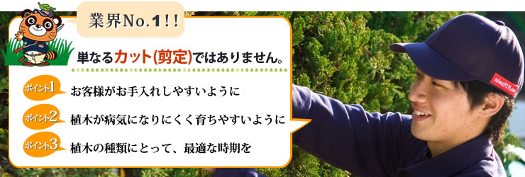 業界NO.1 単なる剪定・カットではありません。お客様が手入れしやすいように。植木が病気になりにくいように。剪定は植木の種類にとって最適な時期を。