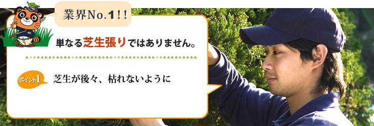 業界NO.1 単なる芝生張りではありません。芝生が後々枯れないように。