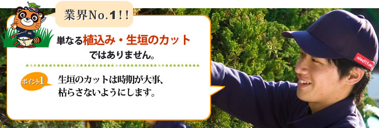 業界NO.1 単なる植込み・生垣のカット・剪定ではありません。生垣のカットは時期が大事、枯らさないようにします。