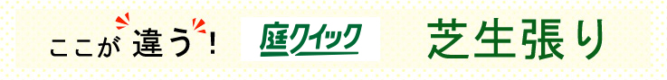 ここが違う庭クイック・芝生張り作業