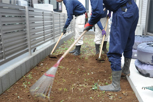 芝生張り