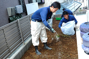 芝生張り