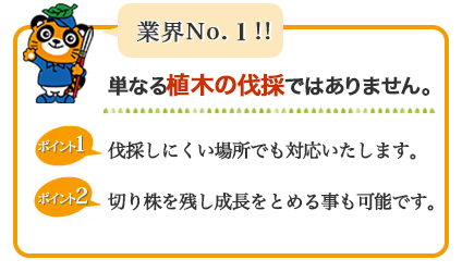 業界NO.1  単なる植木の伐採ではありません。伐採しにくい場所でも対応いたします。切り株を残し成長を止めることも可能です。