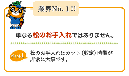 業界NO.1  単なる松の剪定　お手入れではありません。松のお手入れはカット・剪定時期が非常に大事です。