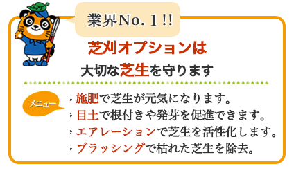 業界NO.1 芝刈オプションは大切な芝生を守ります。施肥で芝生が元気になります。目土で寝つきや発芽を促進できます。エアレーションで芝生を活性化します。ブラシングでかれた芝生を除去。