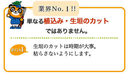 業界NO.1 単なる植込み・生垣のカット・剪定ではありません。生垣のカットは時期が大事、枯らさないようにします。