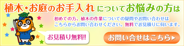 お問い合わせフォーム　植木・お庭のお手入れつにてお悩みの方に