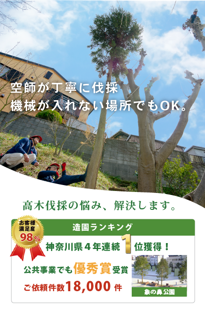 高木伐採の悩み、解決します。ご依頼件数18,000件