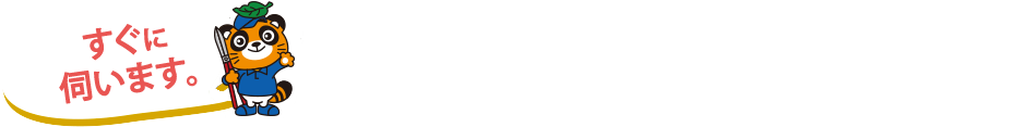 ql̊т̐̕łBql̑۔܂