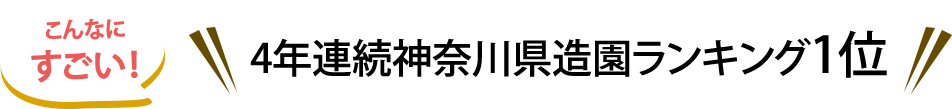 ȂɂA4NA_ސ쑢LO1