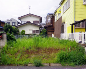 除草前