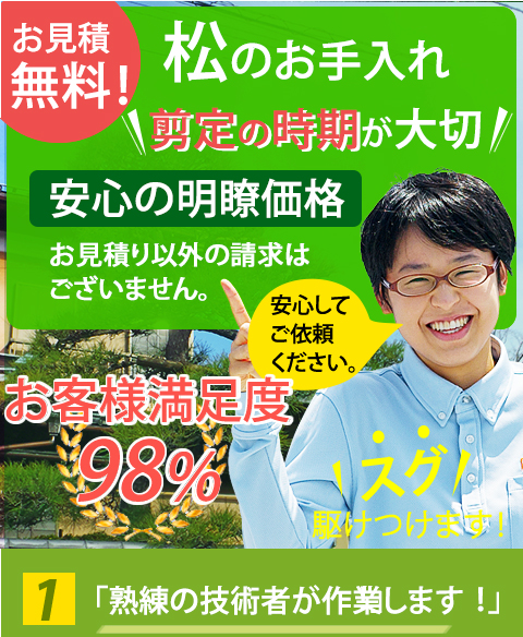 松の剪定 庭クイック 東京 神奈川 埼玉 千葉 造園の庭クイック 松の剪定 庭クイック 東京 神奈川 埼玉 千葉 造園の庭クイック