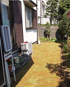 植栽剪定と芝張り後