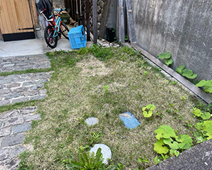 芝生の貼り替え前