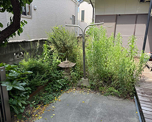 空き家草刈・剪定前