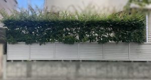 作業前