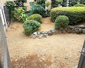 お庭全体の剪定・草刈り後