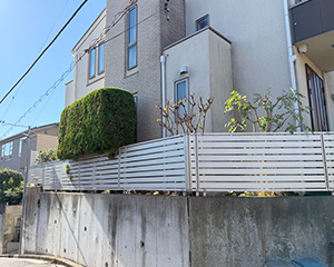 シマトネリコ・サルスベリ・コニファー剪定後